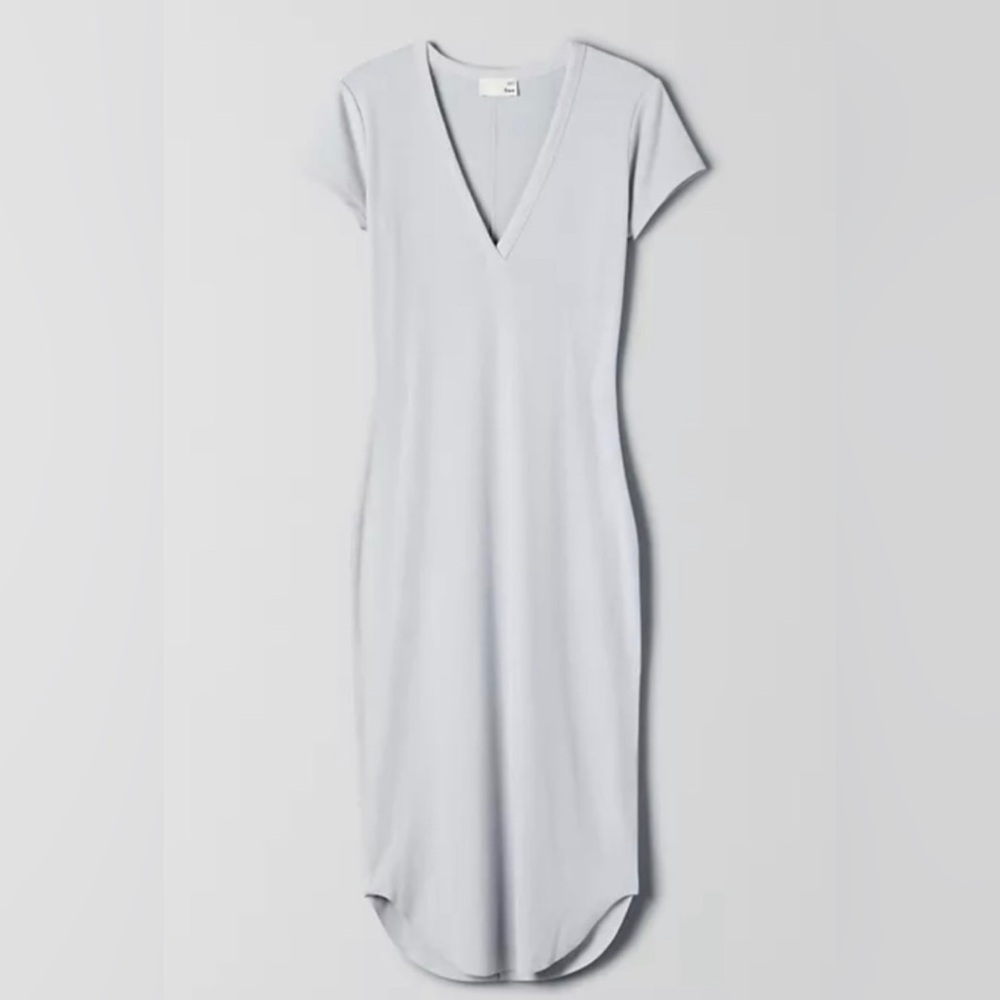 Aritzia dress